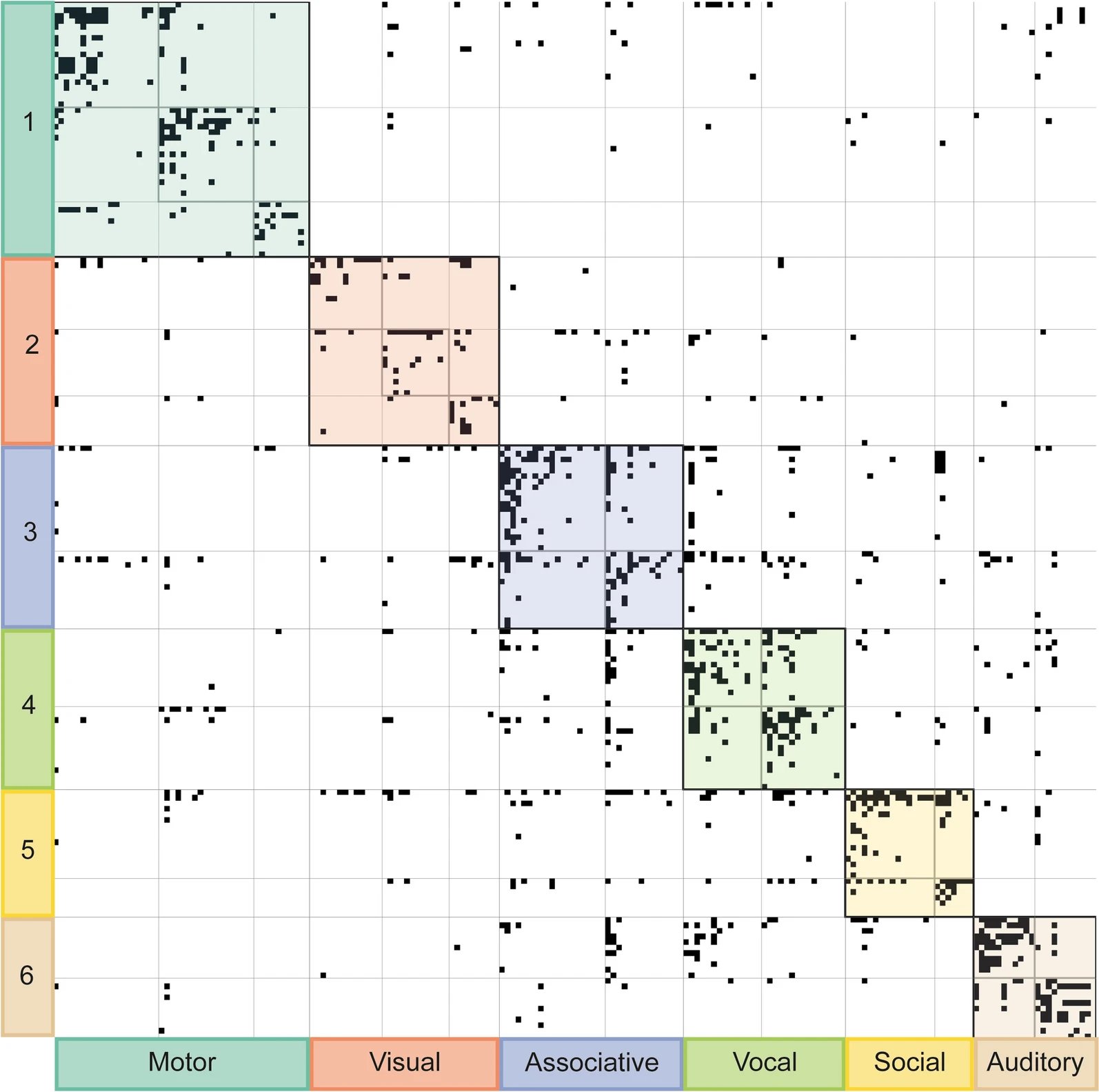 Connectivity matrix with community structure