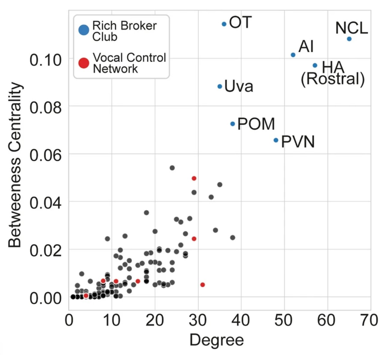 Degree vs betweenness centrality scatter plot